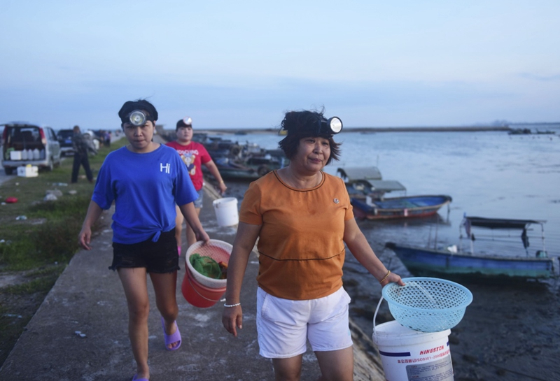 海南琼海：海边居民赶海拾贝（图）